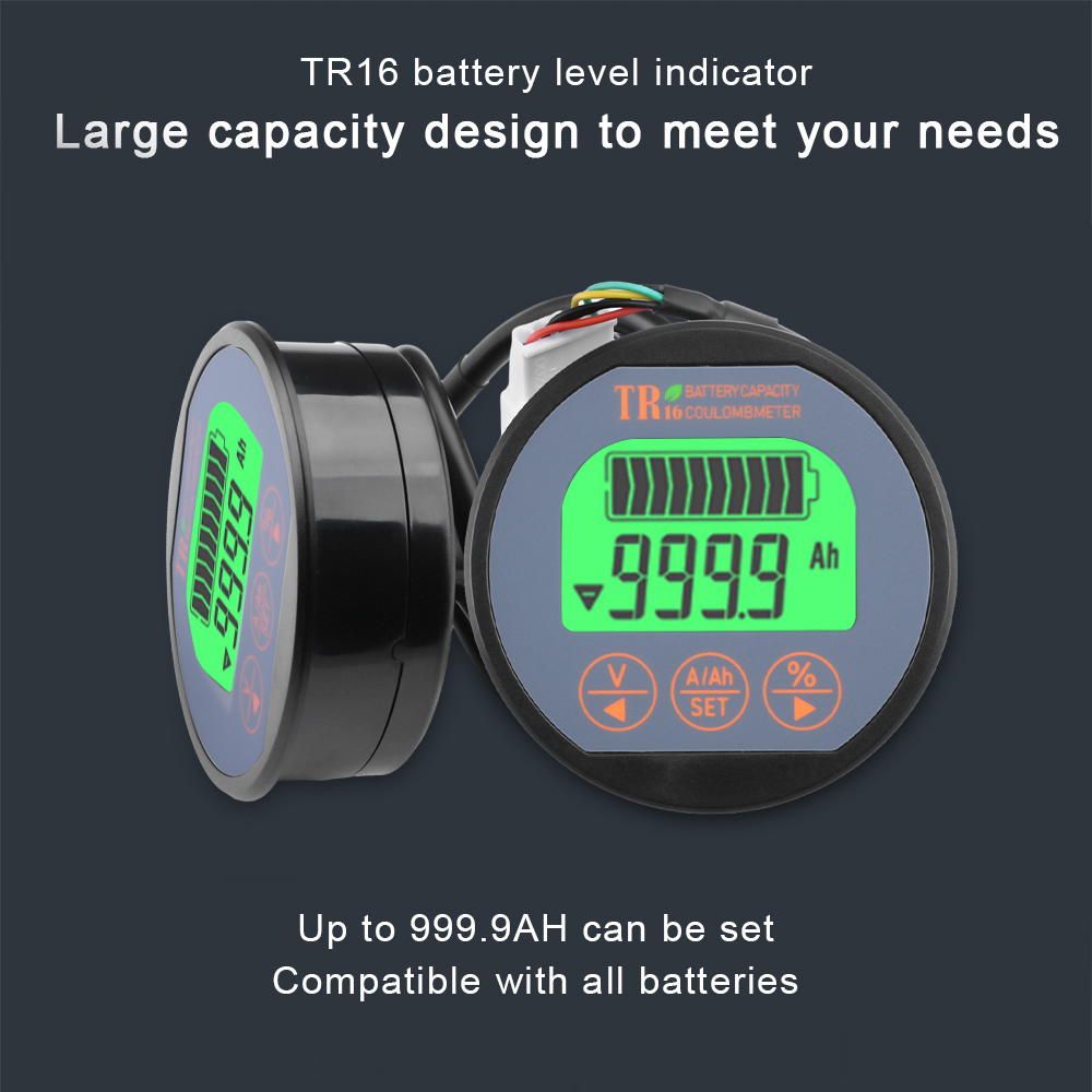 Battery Monitor Coulometer - DC 8-80V 50A 100A 350A TR16